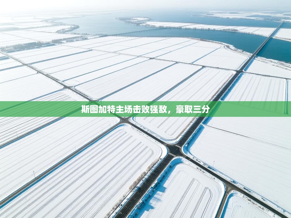 开云体育入口平台-斯图加特主场击败强敌,豪取三分  第1张