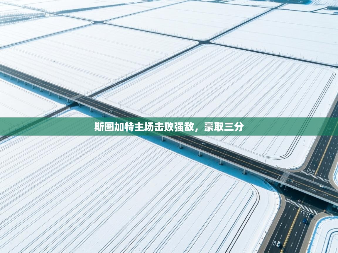 开云体育入口平台-斯图加特主场击败强敌,豪取三分  第2张
