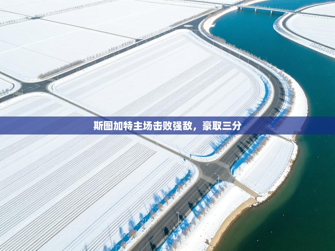 开云体育入口平台-斯图加特主场击败强敌,豪取三分  第3张