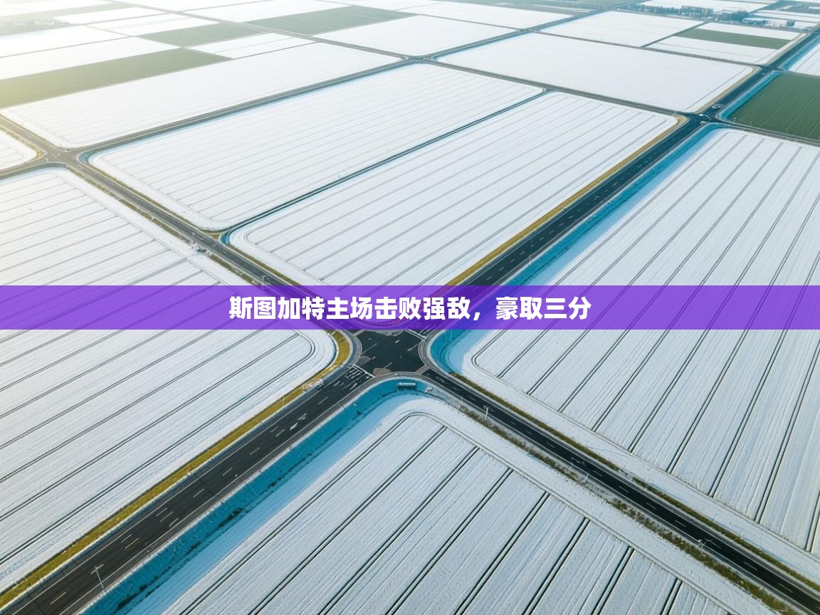 开云体育入口平台-斯图加特主场击败强敌,豪取三分  第4张