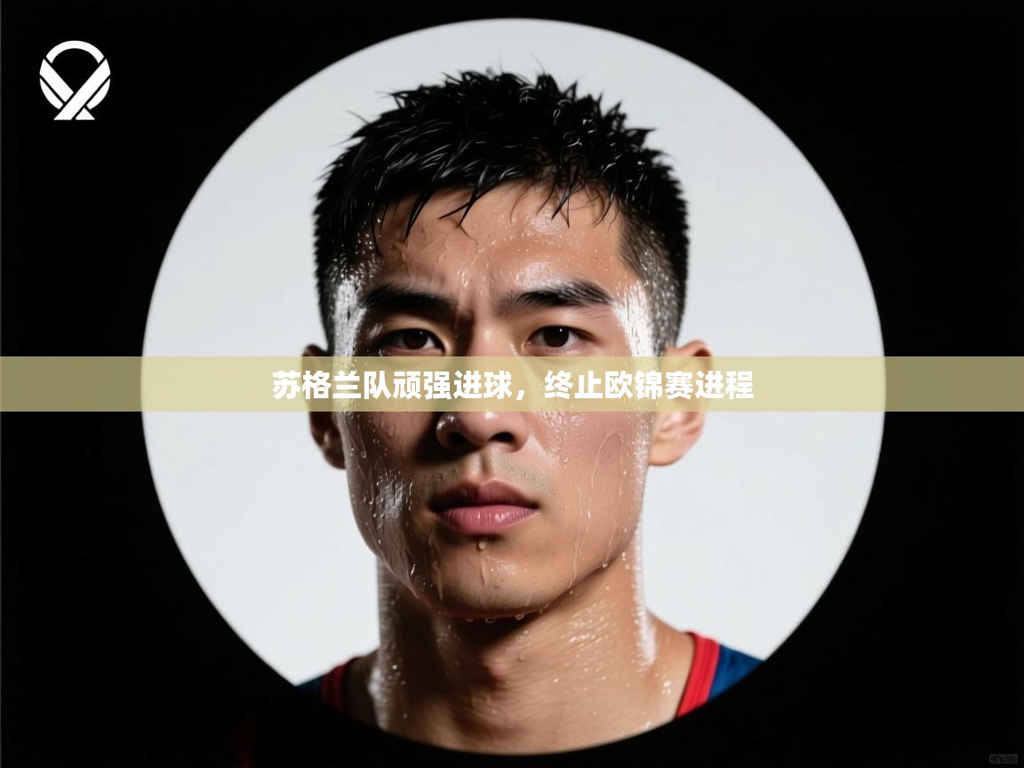 开云体育注册app-苏格兰队顽强进球，终止欧锦赛进程  第2张