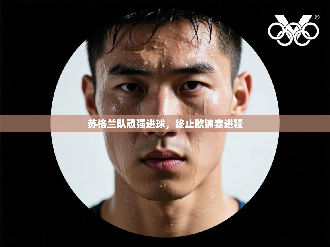 开云体育注册app-苏格兰队顽强进球，终止欧锦赛进程  第3张