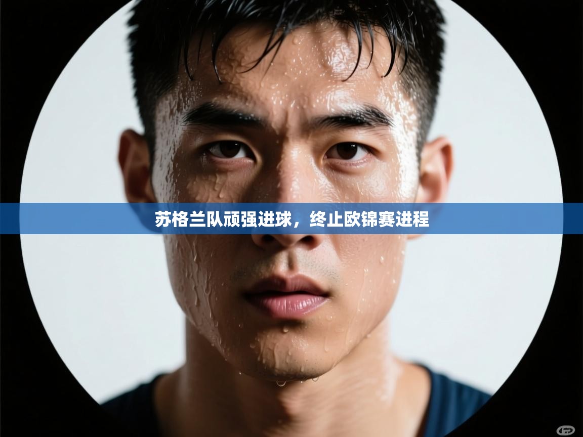 开云体育注册app-苏格兰队顽强进球，终止欧锦赛进程  第4张