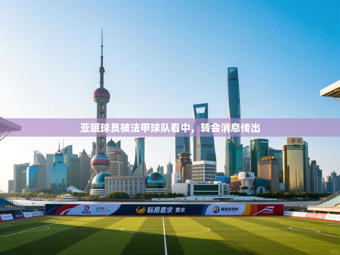 开云体育app下载-亚眠球员被法甲球队看中,转会消息传出 第3张