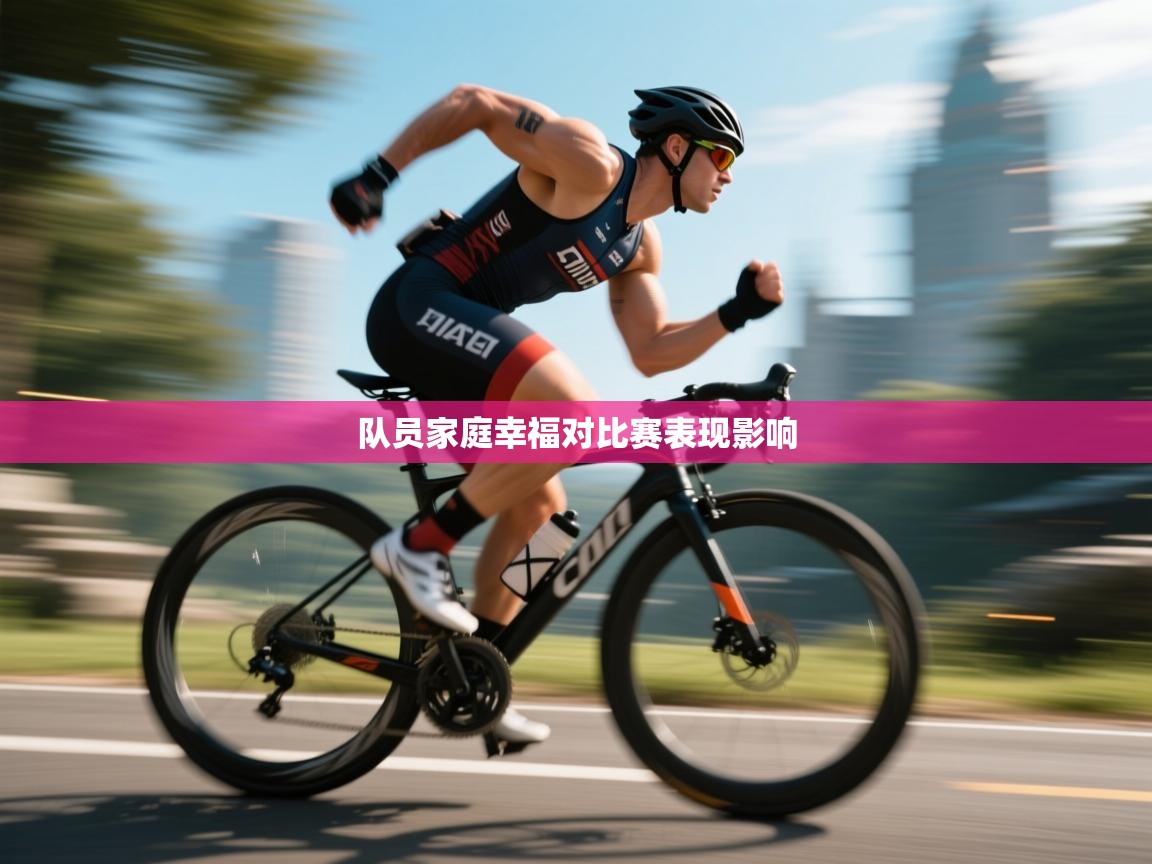 开云体育PC版网页版登录-队员家庭幸福对比赛表现影响  第2张