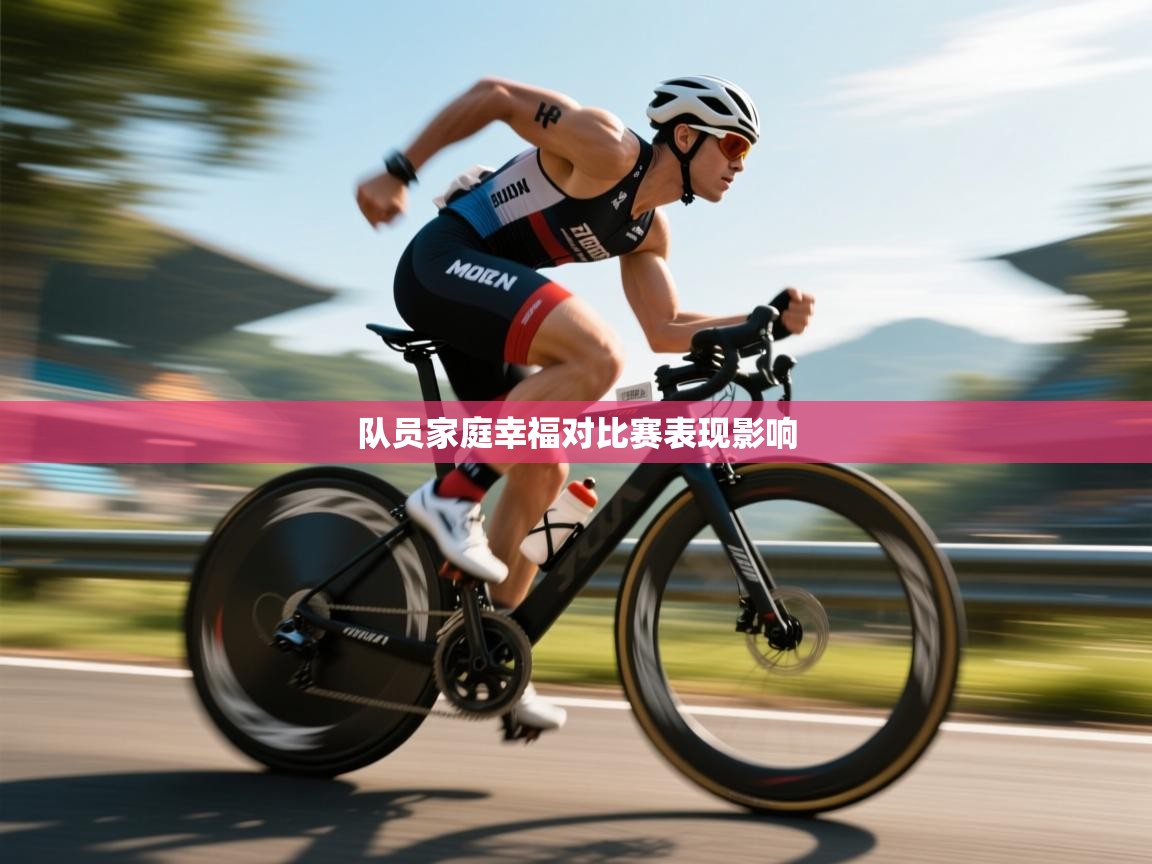 开云体育PC版网页版登录-队员家庭幸福对比赛表现影响  第4张