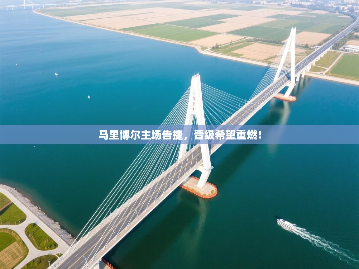 开云体育入口下载-马里博尔主场告捷，晋级希望重燃！  第1张