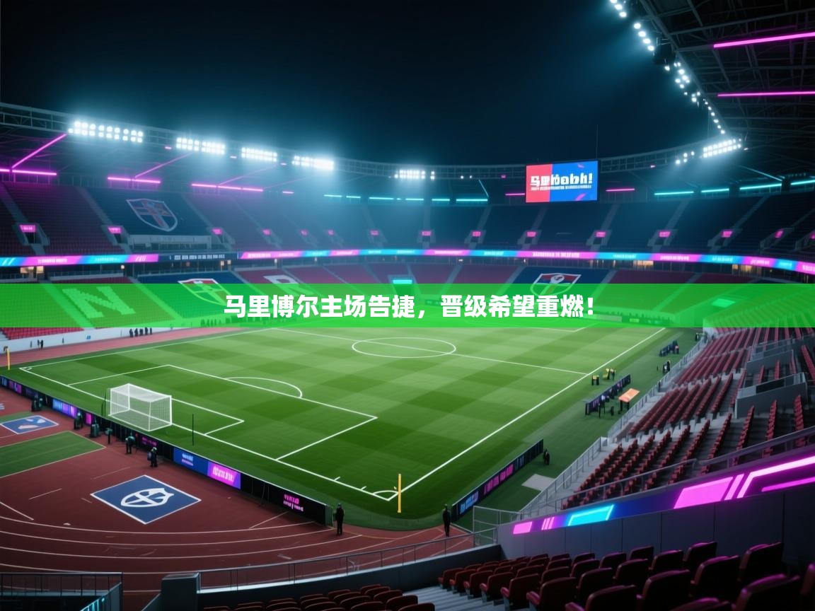 开云体育入口下载-马里博尔主场告捷，晋级希望重燃！  第3张