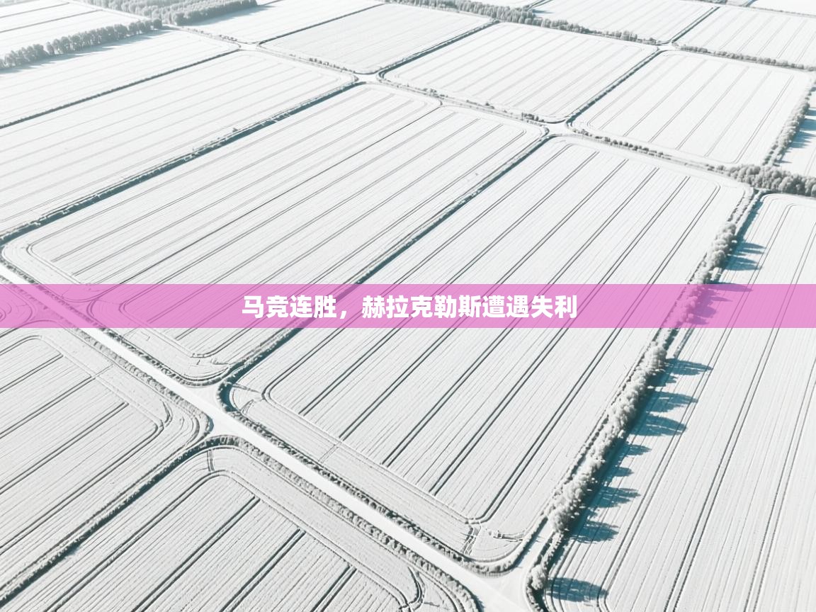 开云体育入口手机版-马竞连胜，赫拉克勒斯遭遇失利  第4张