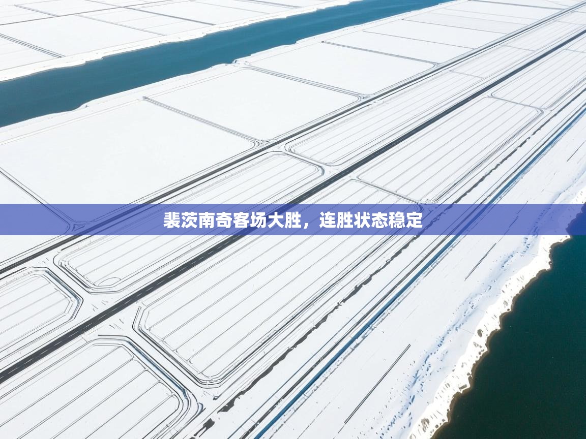 开云体育app官网-裴茨南奇客场大胜，连胜状态稳定  第3张