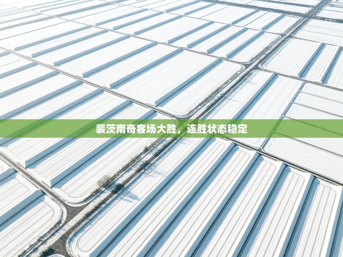 开云体育app官网-裴茨南奇客场大胜，连胜状态稳定  第4张