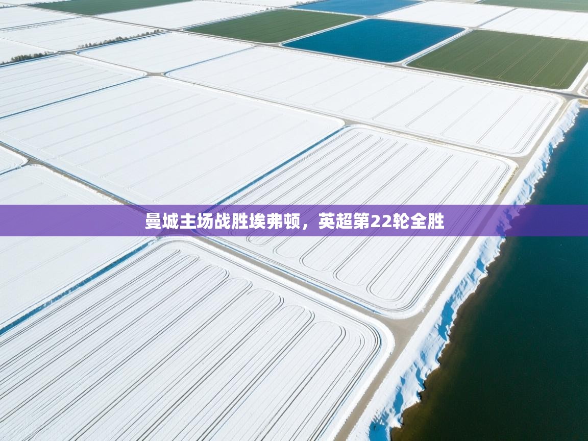 开云体育联赛专题页-曼城主场战胜埃弗顿，英超第22轮全胜  第2张