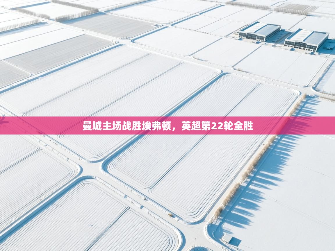 开云体育联赛专题页-曼城主场战胜埃弗顿，英超第22轮全胜  第3张