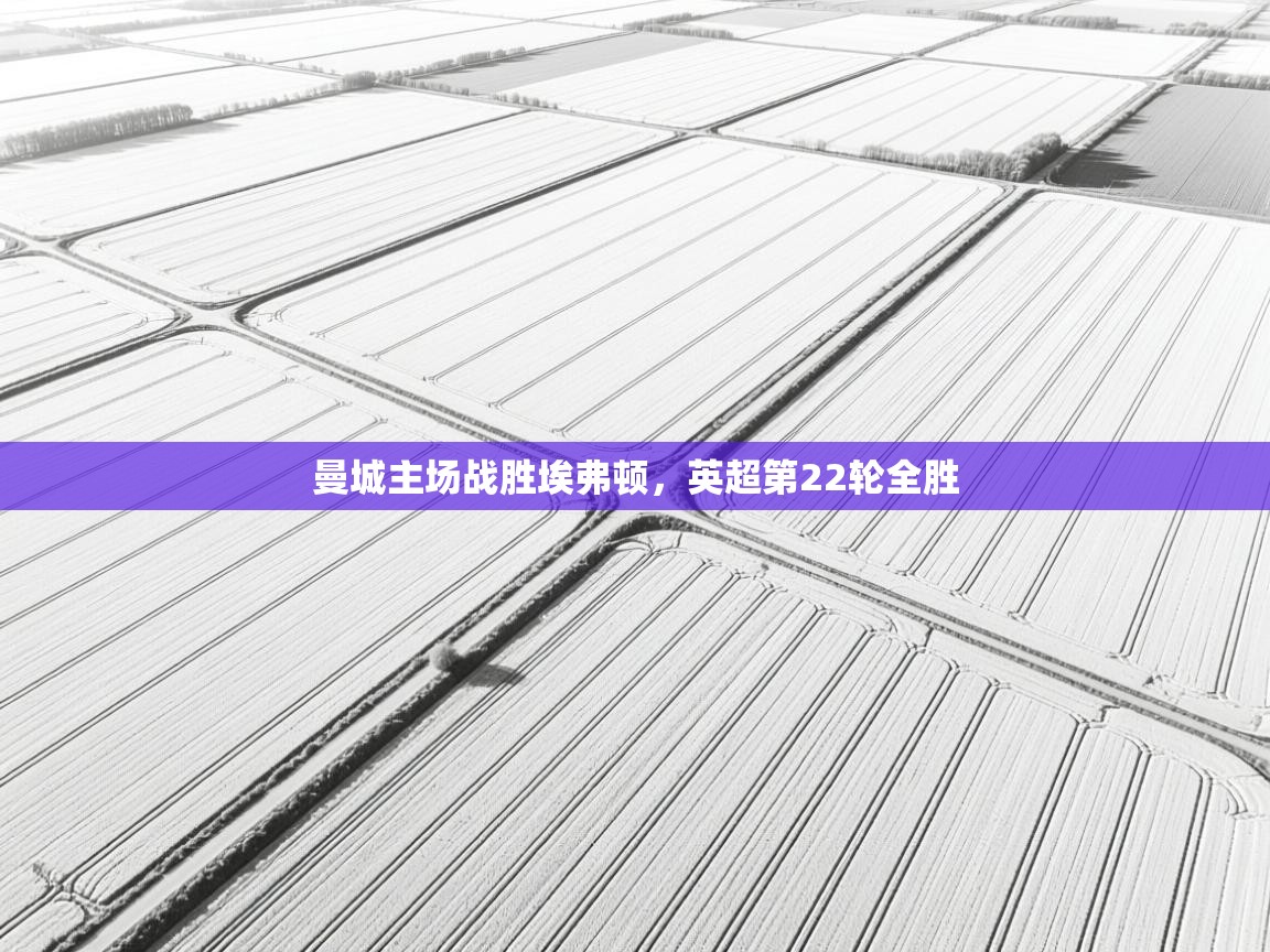 开云体育联赛专题页-曼城主场战胜埃弗顿，英超第22轮全胜  第4张