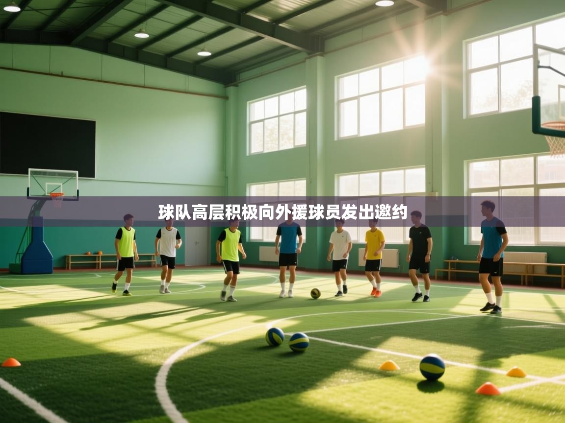 开云体育在线网址-球队高层积极向外援球员发出邀约  第2张