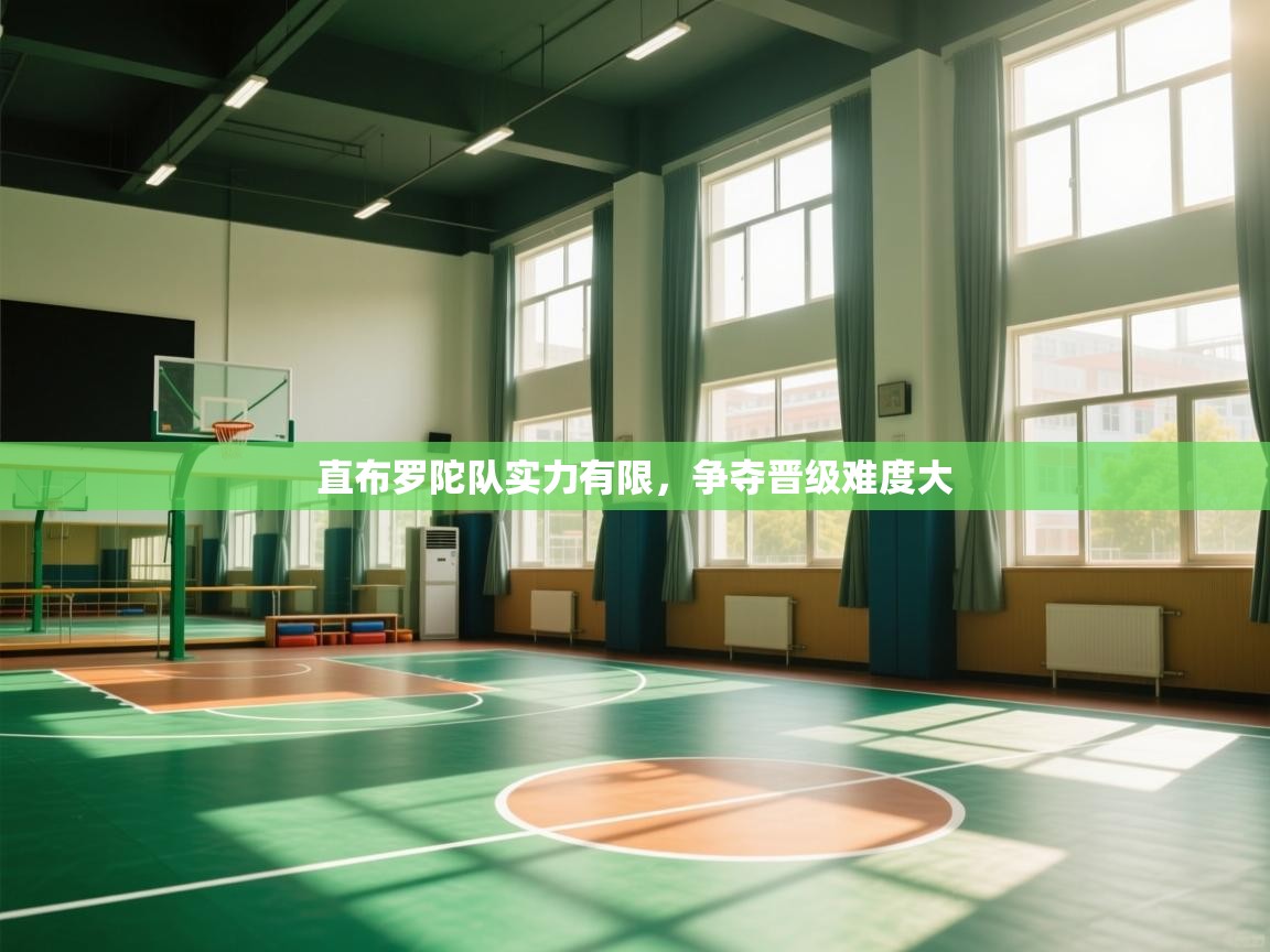 开云体育app官网入口-直布罗陀队实力有限，争夺晋级难度大  第3张