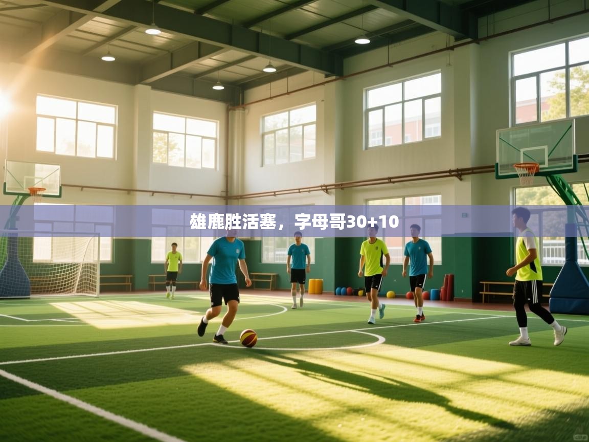 开云客服-雄鹿胜活塞，字母哥30+10  第2张