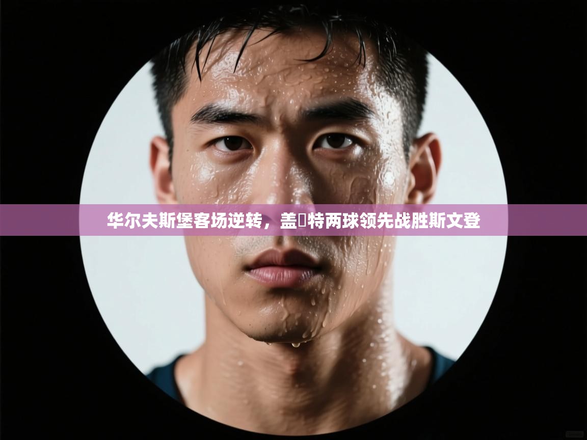 云开体育app登录入口-华尔夫斯堡客场逆转，盖婭特两球领先战胜斯文登  第1张