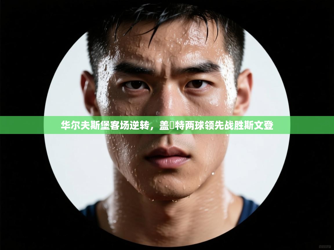 云开体育app登录入口-华尔夫斯堡客场逆转，盖婭特两球领先战胜斯文登  第3张