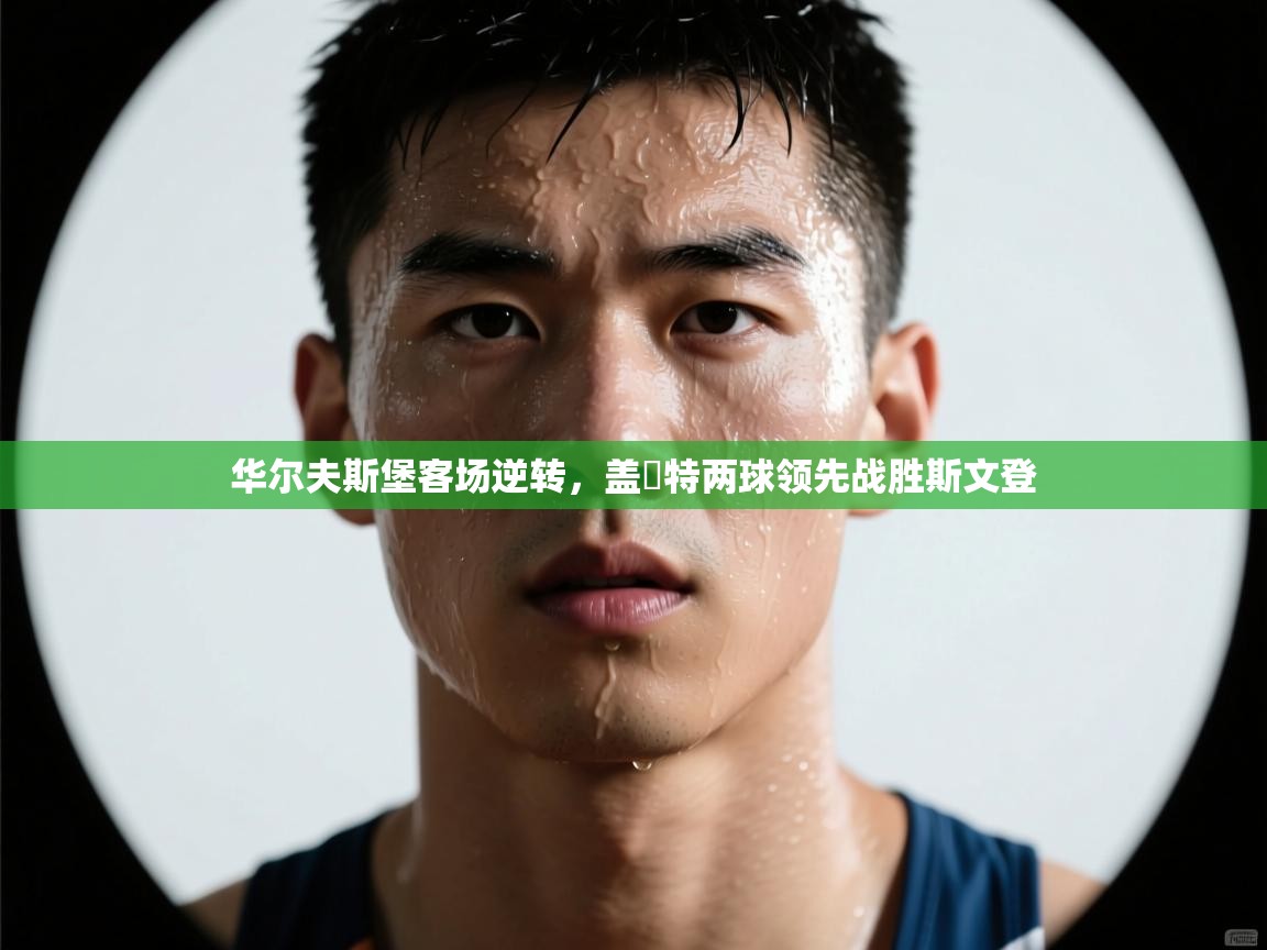 云开体育app登录入口-华尔夫斯堡客场逆转，盖婭特两球领先战胜斯文登  第2张